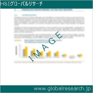 グローバルリサーチ調査レポートのイメージ